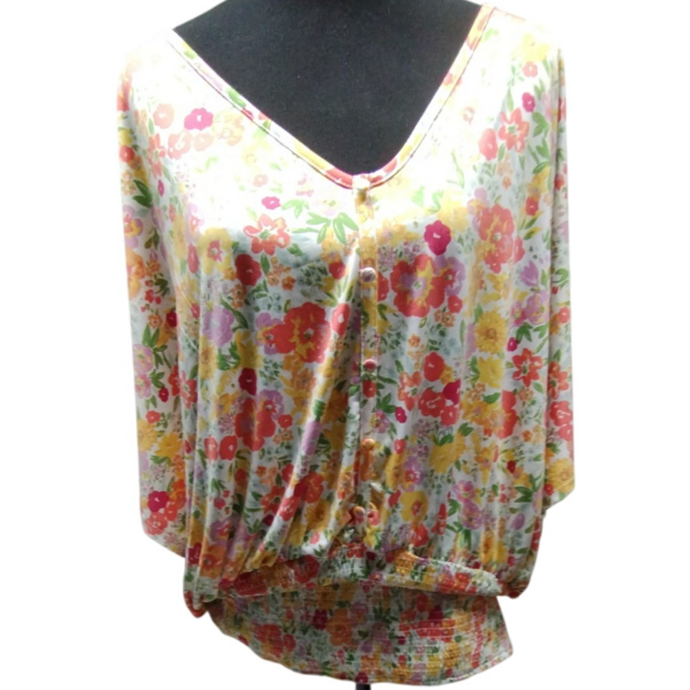 Robert Louis Floral Blouse Button Down V‎ Neck Top White Multi 3X